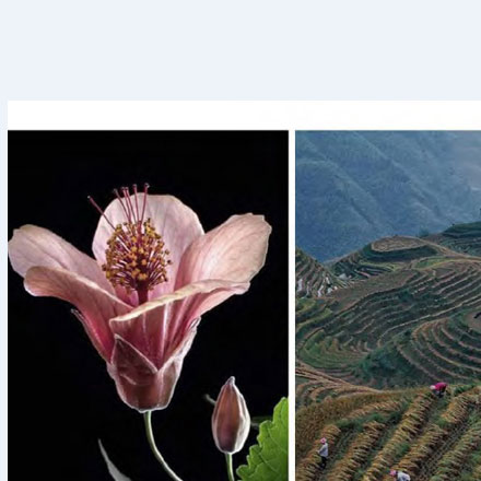 設(shè)計(jì)師在線(xiàn)-深圳標(biāo)識(shí)設(shè)計(jì)師在線(xiàn)